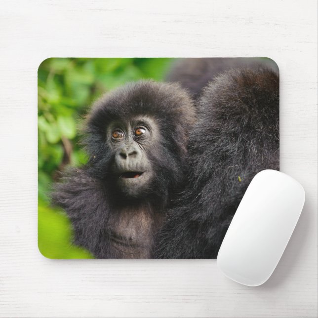 Cutest Baby Animals | Young Mountain Gorilla Mouse Mat (With Mouse)