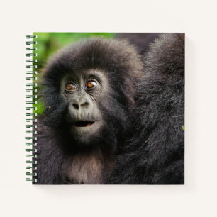 Cutest Baby Animals   Young Mountain Gorilla Notebook