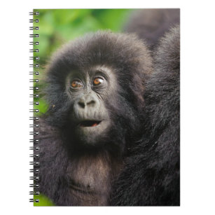 Cutest Baby Animals   Young Mountain Gorilla Notebook