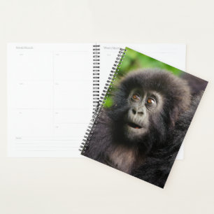 Cutest Baby Animals Young Mountain Gorilla Planner