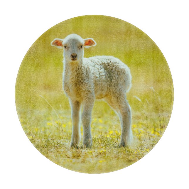 Cutest Baby Animals | Young Sheep Cutting Board (Front)