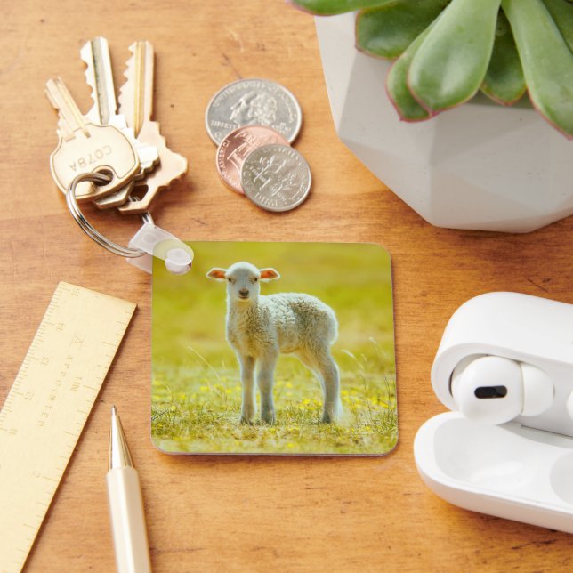 Cutest Baby Animals | Young Sheep Key Ring (Desk)