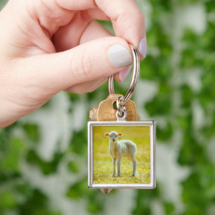 Cutest Baby Animals Young Sheep Key Ring