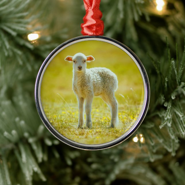 Cutest Baby Animals | Young Sheep Metal Tree Decoration (Tree)