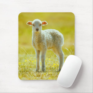 Cutest Baby Animals   Young Sheep Mouse Mat