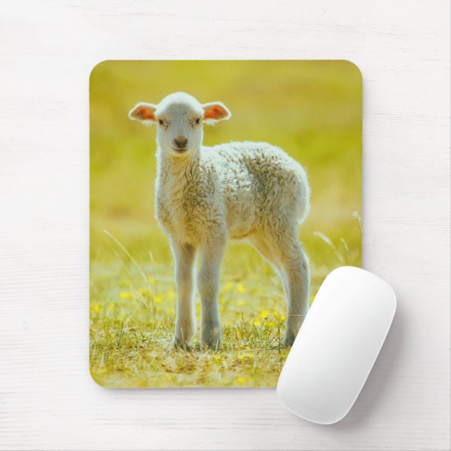Cutest Baby Animals | Young Sheep Mouse Mat (With Mouse)