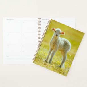 Cutest Baby Animals Young Sheep Planner