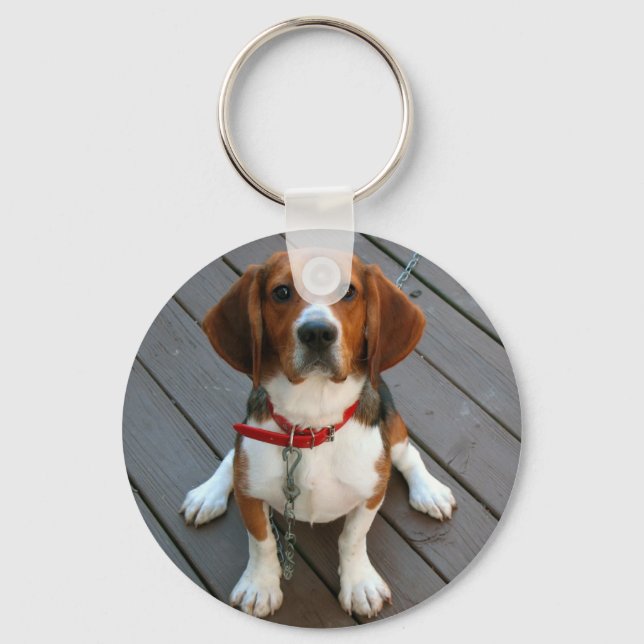 Cutest Beagle Dog Ever Key Ring (Front)