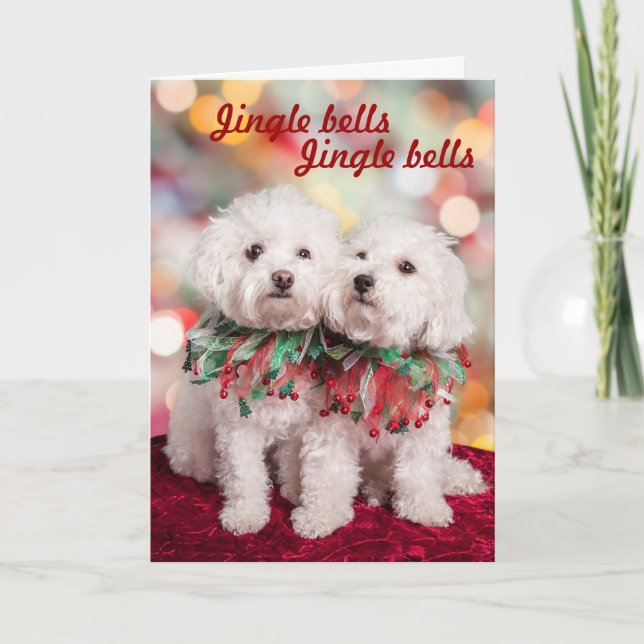 Cutest Bichon Frise dogs Christmas card (Front)