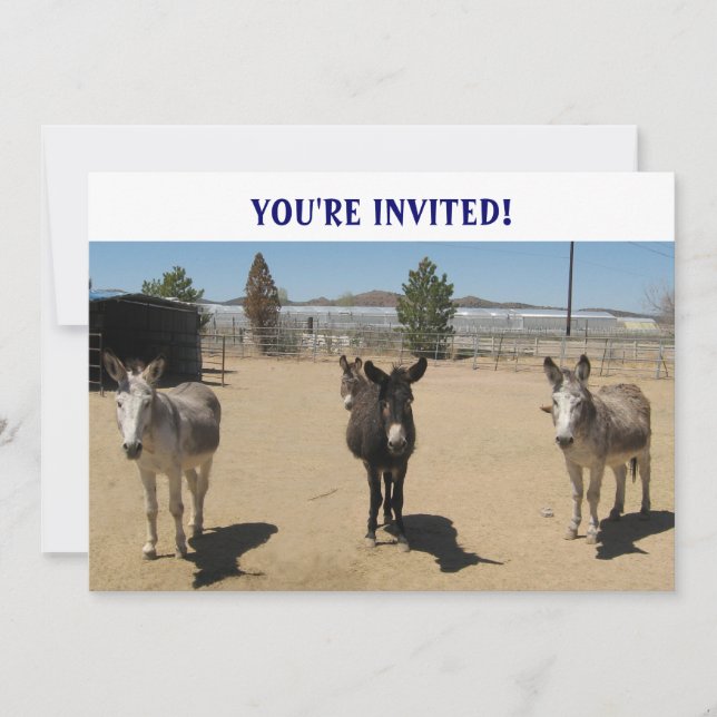 Cutest Birthday Burros Western Invitation (Front)