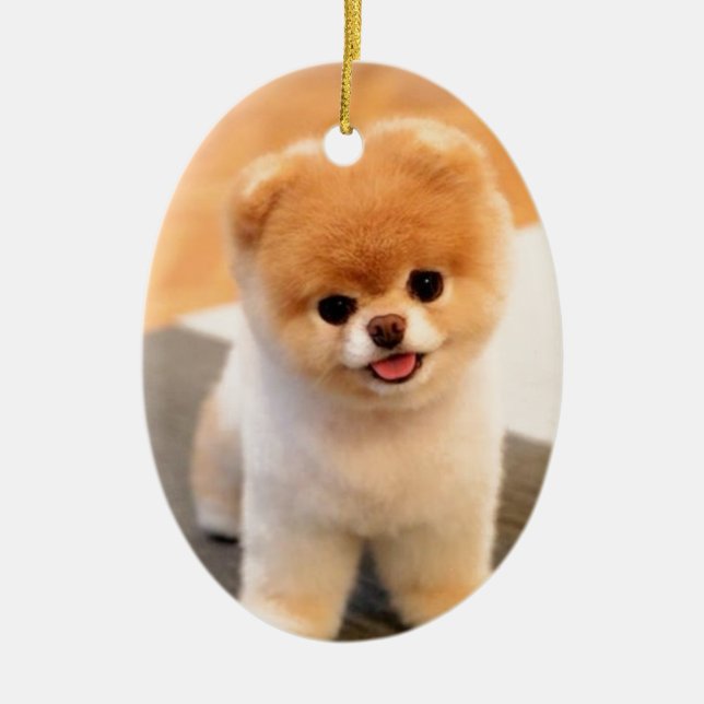 Cutest Dog in the world Ceramic Tree Decoration (Front)