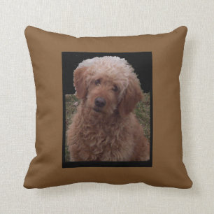 Cutest Dog in the World Cushion