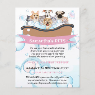 Cutest Dogs Cats Spa Sitter Groom PetCare Services Flyer