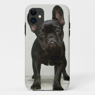 Cutest French Bulldog Puppy iPhone 11 Case