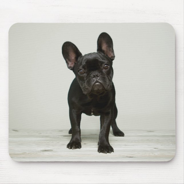 Cutest French Bulldog Puppy Mouse Mat (Front)