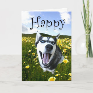Cutest Husky Dog Happy Birthday Card