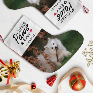 Cutest Paws Ever Dog Pet Photo and Name Holiday Small Christmas Stocking