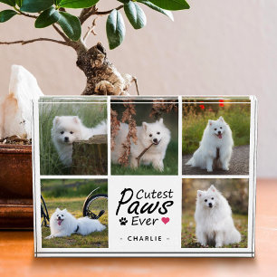 Cutest Paws Ever Modern Cute Pet Dog Photo Collage Block