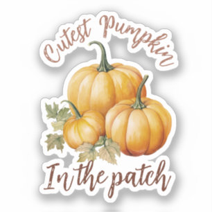 Cutest Pumpkin in the Patch