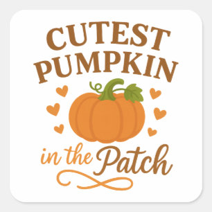 Cutest Pumpkin in the Patch Fall Autumn Square Sticker