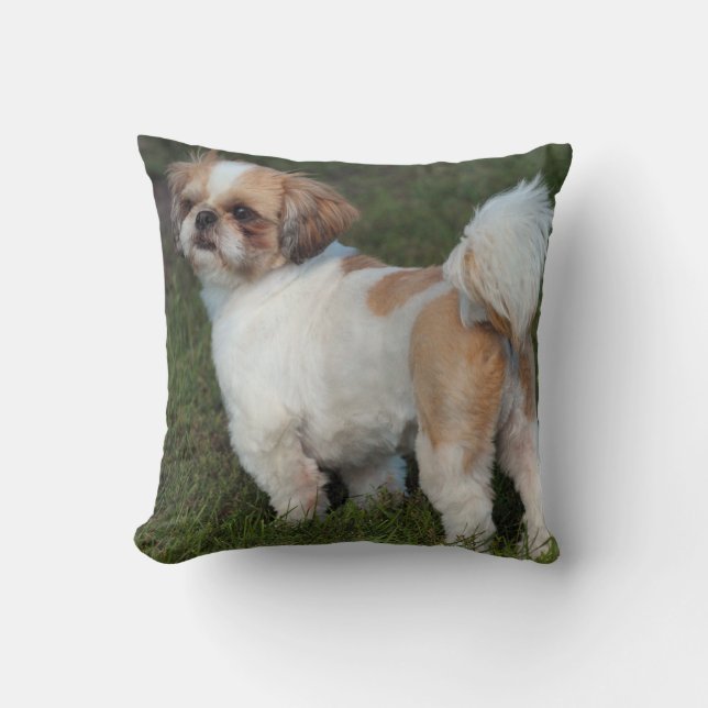 Cutest Shih Tzu Cushion (Front)