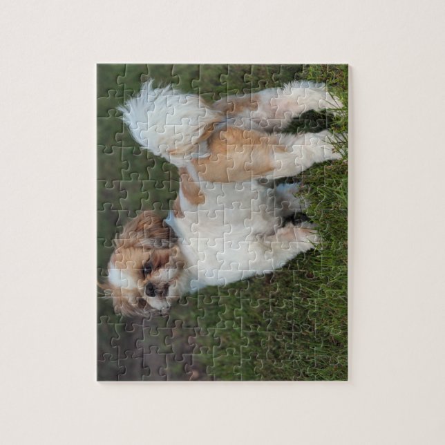 Cutest Shih Tzu Jigsaw Puzzle (Vertical)