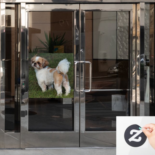 Cutest Shih Tzu Window Cling (Office Door)
