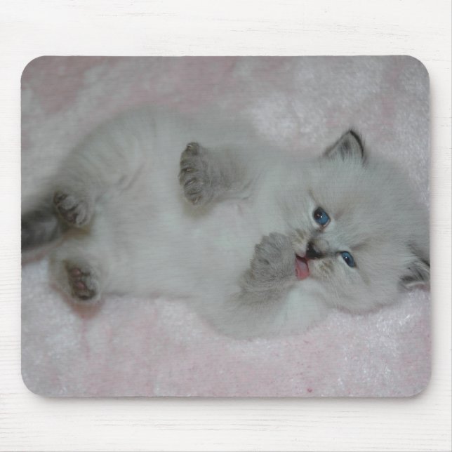 Cutest SibKitten Mousepad - Customised (Front)