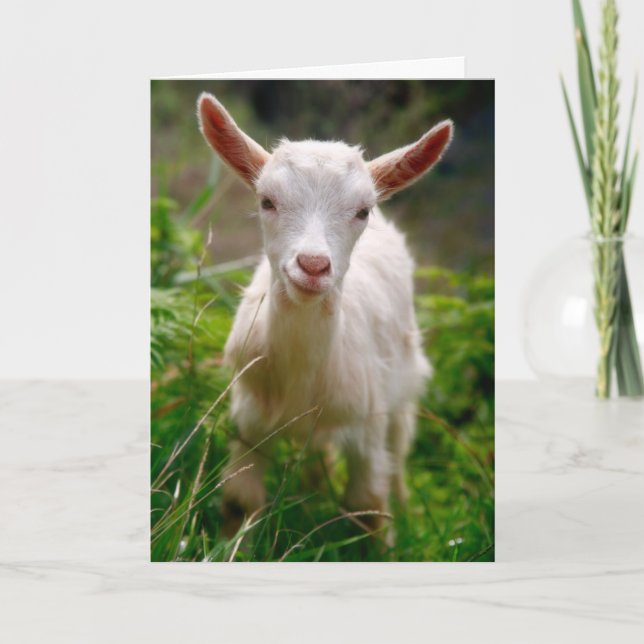 Cutest thing Card (Front)