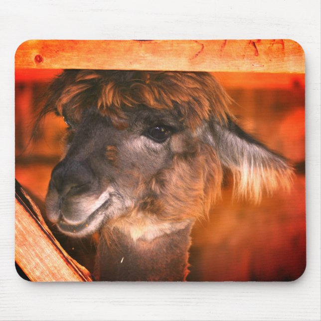 Cutey Llama Animal Mouse Mat (Front)
