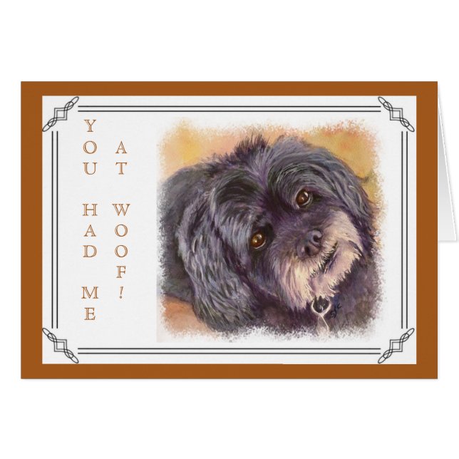 CUTIE BLACK COCK-A-POO MIX (Front Horizontal)