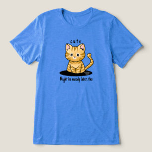 Cutie Cat Tabby Tri-Blend Shirt