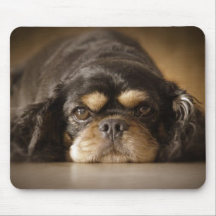 Cutie Cav! Mouse Mat