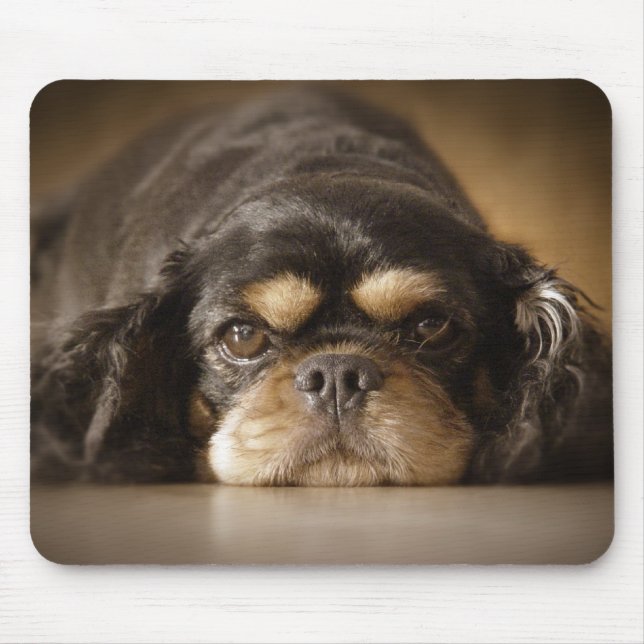 Cutie Cav! Mouse Mat (Front)
