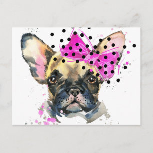 Cutie French Bull Dog Postcard