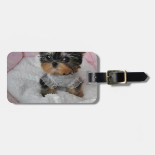cutie pie.jpg luggage tag