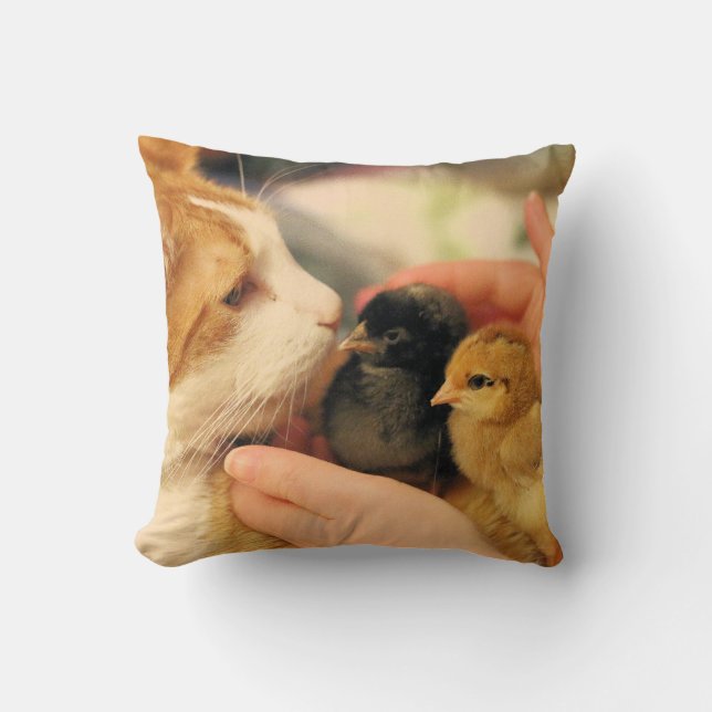 Cuties   cushion (Front)