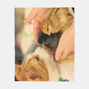 Cuties  fleece blanket