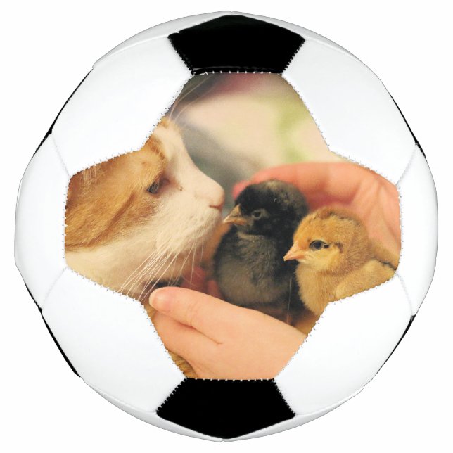 Cuties   football (Front)