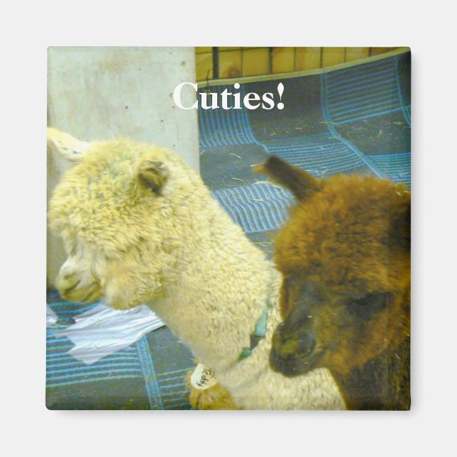 Cuties! Magnet (Front)