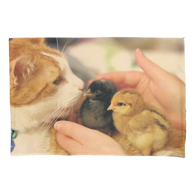 Cuties   pillowcase (Front)