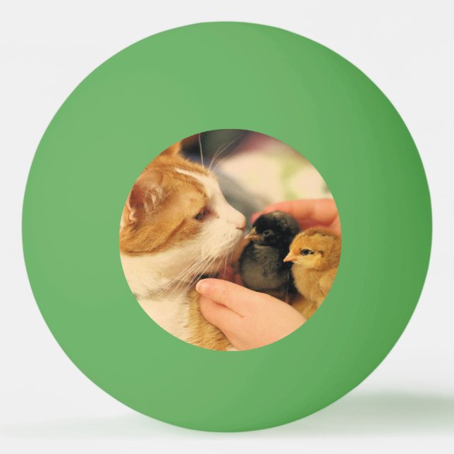 Cuties    ping pong ball (Front)