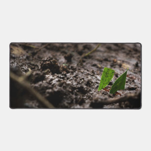 Cutter Ants Desk Mat