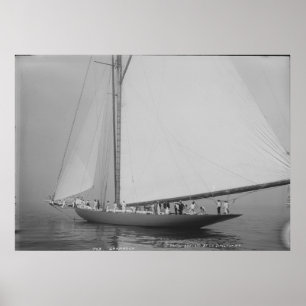 Cutter Shamrock Poster