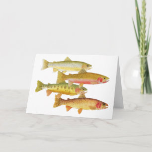 Cutthroat Trout Card