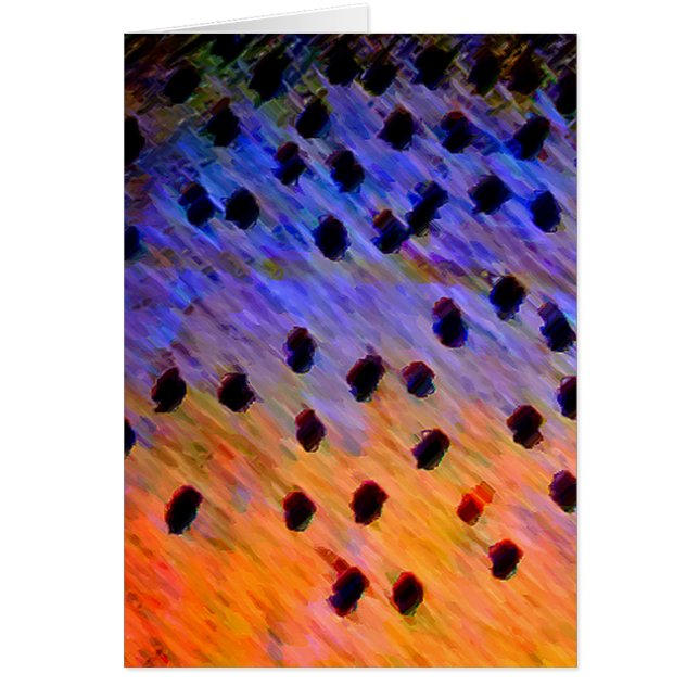 Cutthroat Trout - Card (Front)