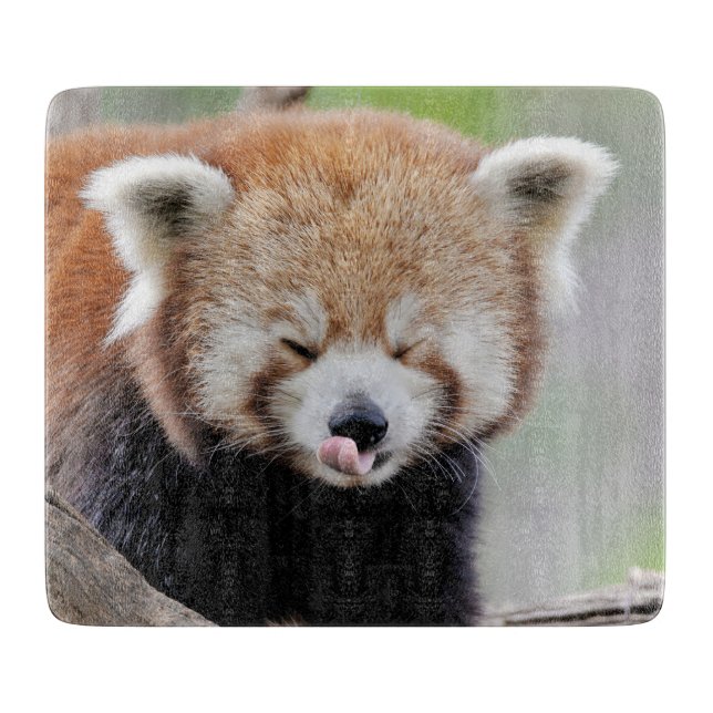 Cutting Board Photo red panda , animals 0218. (Front)