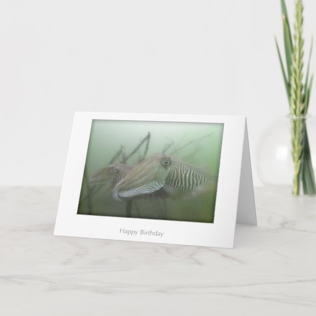Cuttlefish Birthday Card (Front)
