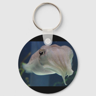 cuttlefish key ring