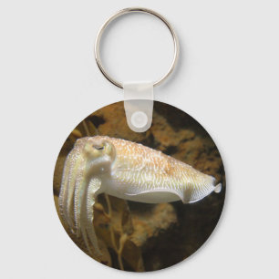 Cuttlefish Key Ring